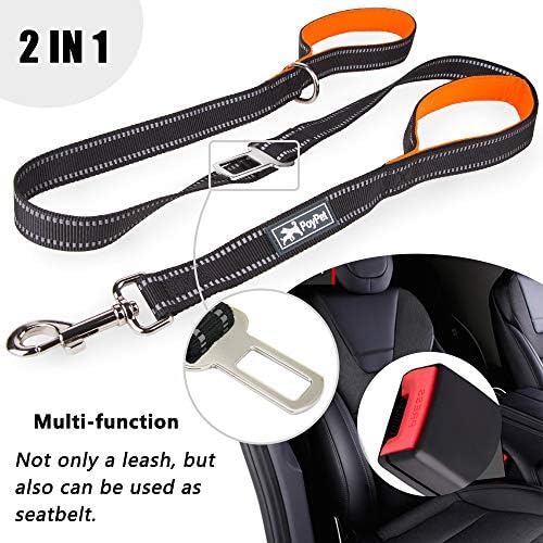 PoyPet 5 Feet Dog Leash with 2 Cushioned Handles (Orange)