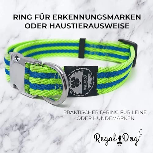 Regal Dog Products Twill Dog Collar, Medium Lime Green/Blue Stripe