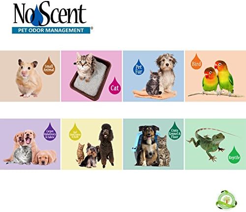 No Scent Crate Kennel & Floor Cleaner for Dog Run, Cat Carrier, Hard Surface Pet Odor & Stain Management (32 Fl Oz / 946 mL)