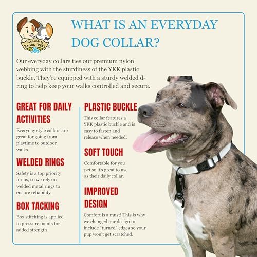 Country Brook Petz - Everyday Nylon Dog Collar for Large, Medium, and Small Dogs and Puppies - for Everyday Use in 30+ Colors (Medium, 3/4 Inch, White)