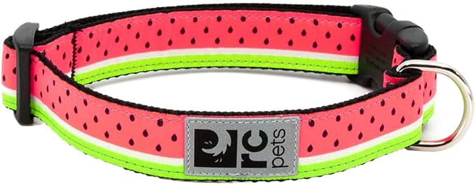 RC Pets 1 Inch Adjustable Dog Clip Collar, Large, Watermelon