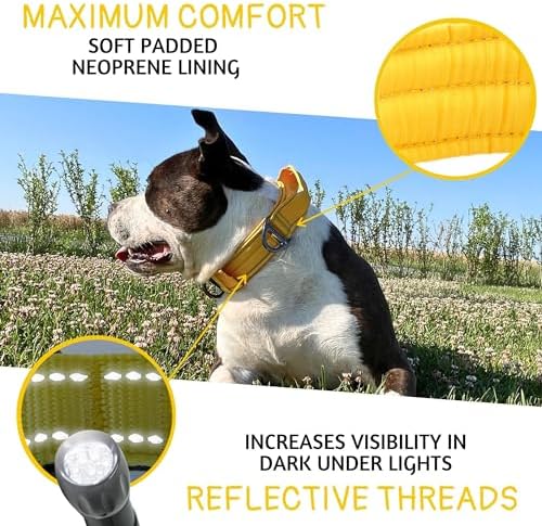 ADITYNA Heavy Duty Dog Collar for Extra-Large Dogs with Traffic Handle