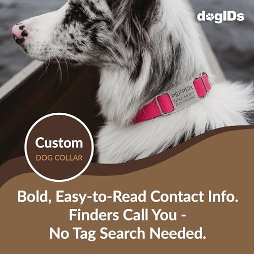 dogIDs Personalized Quick Release Waterprooft ScruffTag Dog Collar - Built-in Custom Laser Engraved Nameplate, Odor Resistant - Magenta, 5/8 in x 11-14 in (Fits Neck Sizes: 11-14 in)