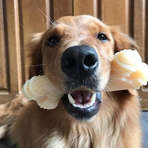 Nylabone Power Chew Curvy Dental Bone Dog Chew Toy, Large