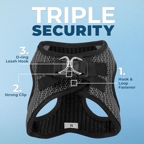 Best Pet Supplies Voyager Step-in Air Harness - All Weather Mesh, Reflective, No Pull Harness for Dogs, Cats - Secure with Hook & Loop Fastener, Buckle, Double D-Rings - Gray 2-Tone, L