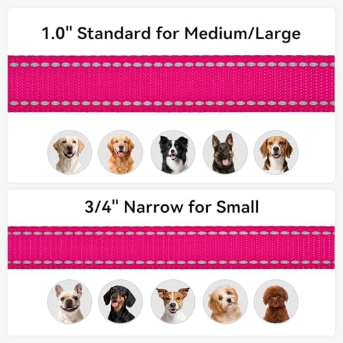Joytale Reflective Dog Leash for Medium & Large Dogs, 5 FT x 1", Hotpink