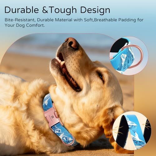 Reflective Dog Collar for Large Dogs, Artistic Design Rocky-L