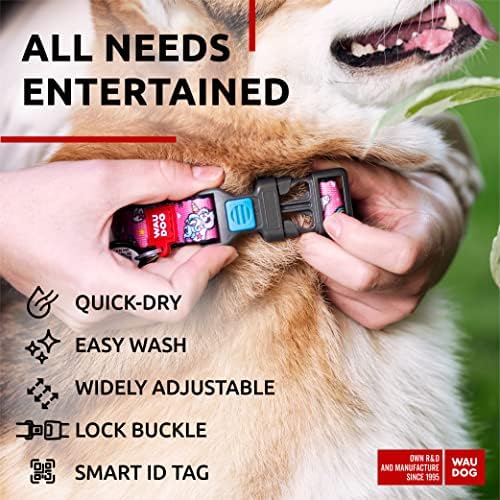 WAUDOG Adjustable Nylon Dog Collar for Large Small Medium Set with QR Tag