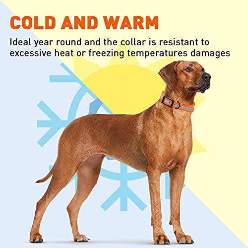 Dogline Biothane Translucent Reflective Waterproof Dog Collar Strong Coated Nylon Webbing with Black Hardware Odor- Proof for Easy Care Clean Fits Small Medium or Large Dogs - Orange 1" W x 22"-25" L