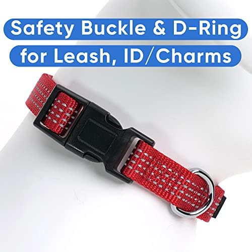 Pawtitas Reflective Dog Collar for Large Dogs – Adjustable Nylon Collar with Quick-Release Buckle | Fits Neck 16–26 in | Night Safety Training Collar | L | Red