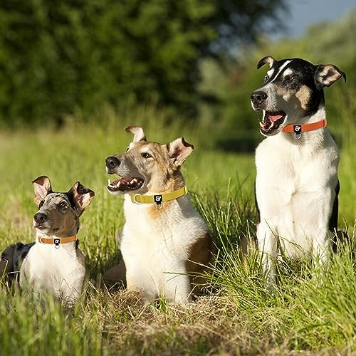 azuza 3 Pack Dog Collars, Soft Nylon Dog Collars for Large Dogs, Brown, L