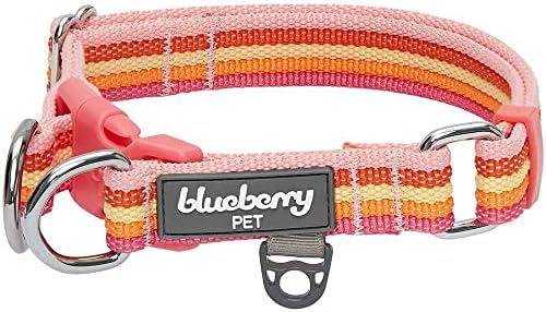 Blueberry Pet Dual D-Ring Safety Dog Collar | Adjustable Nylon Collar with Multicolor Stripes in Warm Tone Rainbow Color| Durable Collar Size X-Large for Large Breeds