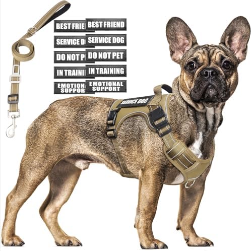 Tactical Dog Harness and Leash Set Medium Sized Dog+10 Dog Patches