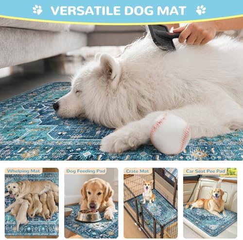 Lahome Super Absorbent & Leakproof Washable Dog Pee Pads - 2 Pack Value Set - Waterproof, Non-Slip Reusable Pads for Puppy Training, Crates & Whelping (24"x24", Blue)