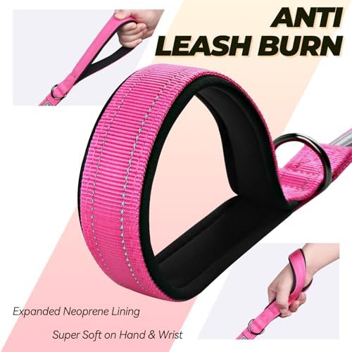 VIVAGLORY Double Handle Dog Leash Twingrip, 4ft x 1in, Pink-Carabiner