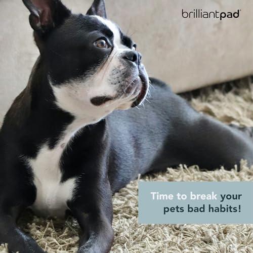 BrilliantPad Puppy Training Spray Kit, Attractant Repellent & Stain Remover