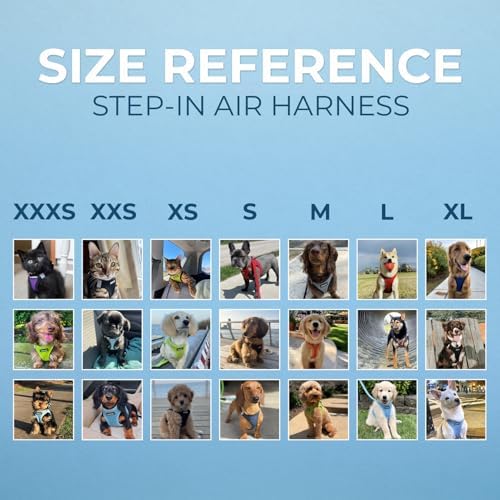 Best Pet Supplies Voyager Step-in Air All Weather Mesh Harness and Reflective Dog 5ft Leash Combo with Neoprene Handle, for Small, Medium and Large Breed Puppies - Moss Green, X-Large
