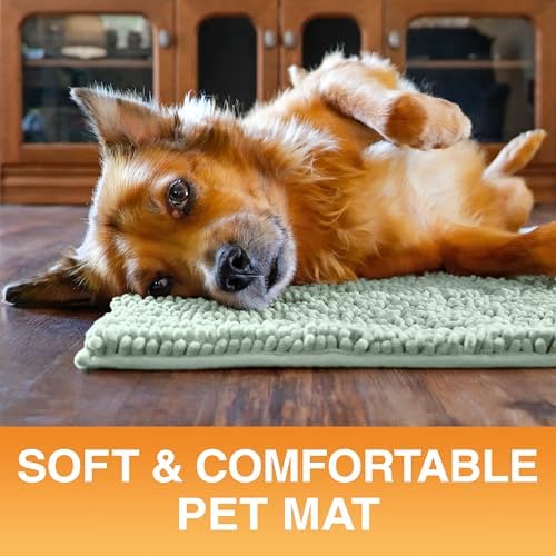 Neater Pets Muddy Paws Dog Door Mat 24” x 17” – Super Absorbent & Quick-Dry Chenille Doormat for Trapping Dirt, Water, Mud - Non-Slip & Machine Washable Pet Rugs for Entryway, Indoor Mud Mats, Green