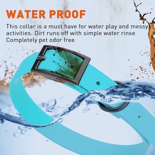 Dogline Biothane Waterproof Dog Collar Strong Coated Nylon Webbing with Black Hardware Odor- Proof for Easy Care Easy to Clean High Performance Fits Small Medium or Large Dogs, Sky Blue