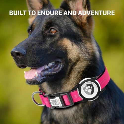 Waterproof AirTag Dog Collar with QR Code Dog Tag, Rose Red XS