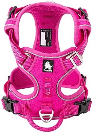 WINHYEPET True Love No Pull Dog Harness Extra Reflective Pet Harness for Small Medium Large Dogs Adjustbale for Running Walking Padded Soft Mesh Vest Easy Control TLH56512(Fushcia,L)