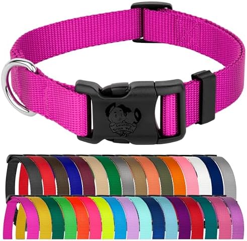 Country Brook Petz - Everyday Nylon Dog Collar for Large, Medium, and Small Dogs and Puppies - for Everyday Use in 30+ Colors (Small, 3/4 Inch Wide, Fuchsia)