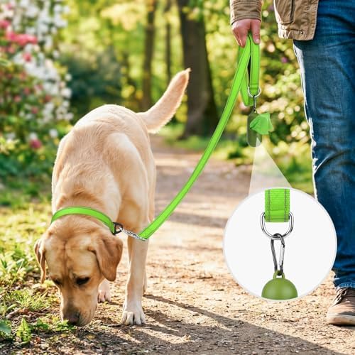 Joytale Reflective Dog Leash for Small Dogs, 5 FT x 3/4", Green