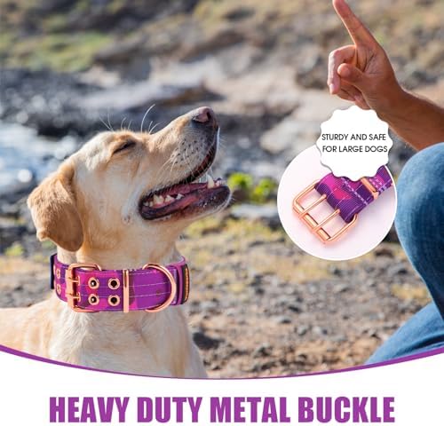 Heavy Duty Dog Collar for Large Dogs,Purple Camo,Extra Large