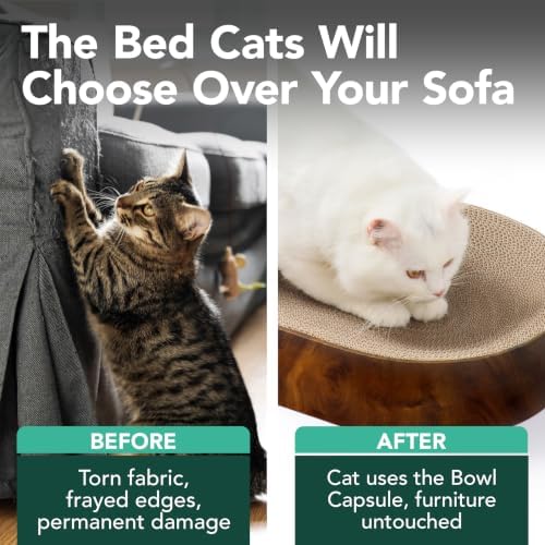 猫壱 Necoichi Cat Scratcher Bowl Capsule for Indoor Cats - Cat Scratching Lounger with Reversible Usability and Extra Comfort for Lounge, Cardboard Bed Couch(Dark Cherry)