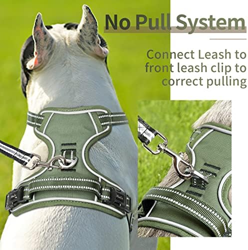 HEELE Dog Harness, Dog Harness for Small Medium Large Dogs No Pull Adjustable Padded Reflective Harness with Handle for Walking Training, Green, XS