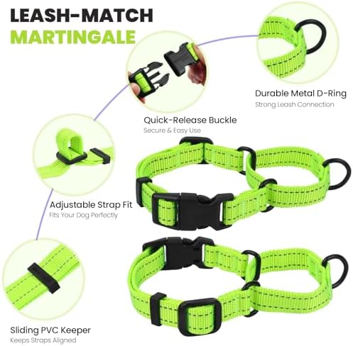 VIVAGLORY Double Handle Dog Leash Twingrip, 5ft x 1in, L, Neon Yellow