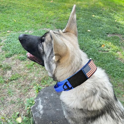 2-Inch Wide Tactical Dog Collar with Control Handle, Adjustable for Medium & Large Dogs, Military Style with Heavy-Duty Metal Buckle, USA Flag Patch & Customizable Name Plate, Training & Everyday Use