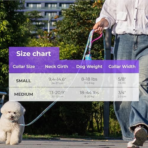 KIKI & RIKI Soft Nylon Dog Collar for Small Dogs, Adjustable, Quick-Release Buckle, Size S (Neck 9.4-14.6"), Light Blue Artist-Designed Print