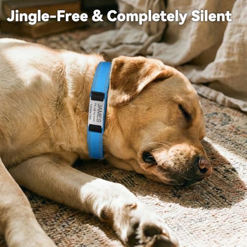 Joytale Personalized Dog Collar with Name Plate Built-in for Medium Dogs