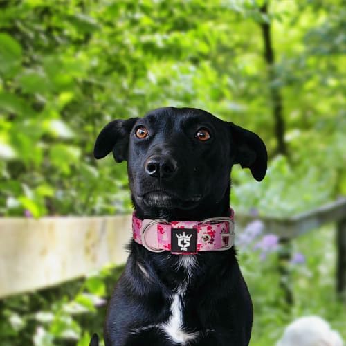 TSPRO Heavy Duty Thick Dog Collar with Metal Buckle for Small Dogs