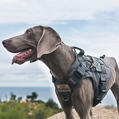 OneTigris Tactical Dog Harness No-Pull Service Vest for Small Medium Dogs