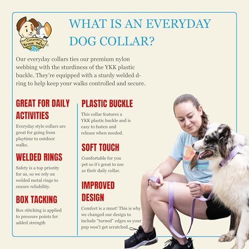 Country Brook Petz - Everyday Nylon Dog Collar for Large, Medium, and Small Dogs and Puppies - for Everyday Use in 30+ Colors (Medium, 3/4 Inch Wide, Lavender)
