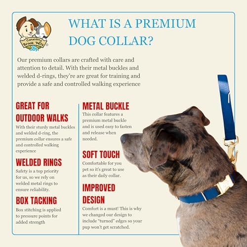 Country Brook Petz - Premium Nylon Dog Collar with Metal Buckle for Small Medium Large Breeds - 30+ Colors (Small, 3/4 Inch, Navy Blue)
