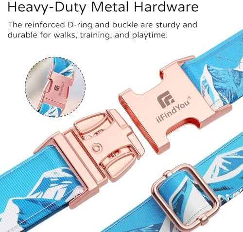 Reflective Dog Collar for Large Dogs, Artistic Design Rocky-L