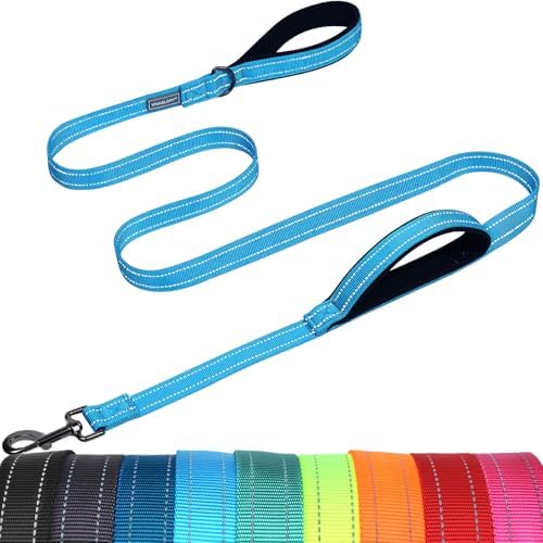 VIVAGLORY Double Handle Dog Leash Twingrip, 5ft x 1in, Blue