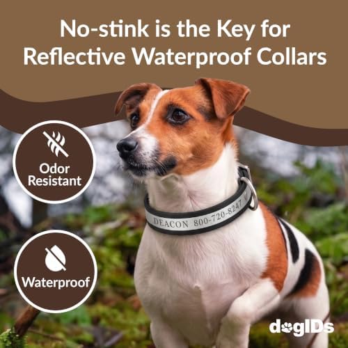 dogIDs Personalized Reflective Waterproof Dog Collar - Custom, Durable, Adjustable, Odor Resistant, Safe, Engraved - Black, 1 in x 16 in (Fits Neck Sizes: 14-18 in)