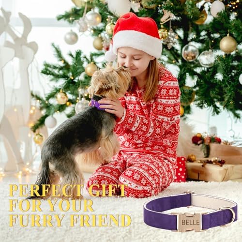 Personalized Dog Collar with Engraved Pet Name & Phone Number