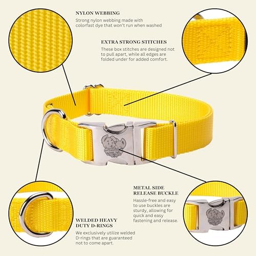 Country Brook Petz - Premium Nylon Dog Collar with Metal Buckle for Small Medium Large Breeds - 30+ Colors (Small, 3/4 Inch, Yellow)