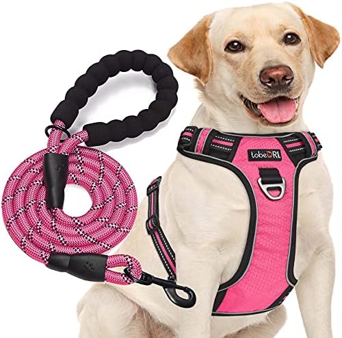 tobeDRI No Pull Dog Harness Adjustable Reflective Oxford Easy Control Medium Large Dog Harness with A Free Heavy Duty 5ft Dog Leash, Pink, L