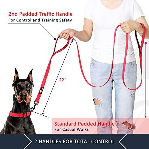 Plutus Pet Double Handle Dog Leash, 5 FT Long, for Medium Large Dogs