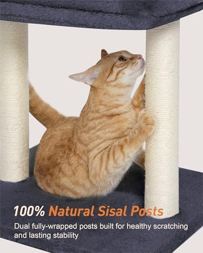 19" Small Cat Tree with Scratching Post for Indoor Cats with Perch