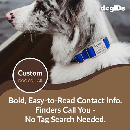 dogIDs Personalized Quick Release Waterprooft ScruffTag Dog Collar - Built-in Custom Laser Engraved Nameplate, Odor Resistant - Blue, 1 in x 16-23 in (Fits Neck Sizes: 16-23 in)