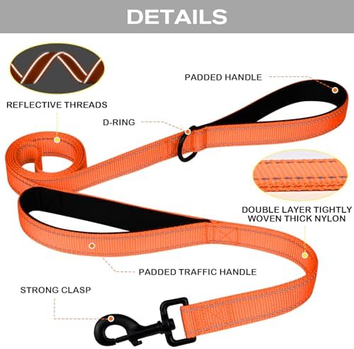 Joytale Dog Leash for Large Dogs that Pull, Double Handle, 5FT, Orange