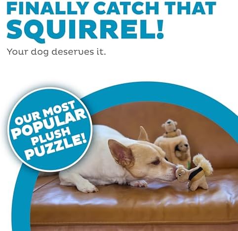 Outward Hound Hide-A-Squirrel Dog Toy – Interactive 2‑in‑1 Plush Puzzle with 3 Squeaky Removable Squirrels, Small (Pack of 12)