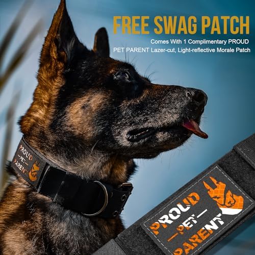 OneTigris 2 Inch Wide Tactical Dog Collar with Handle Black L